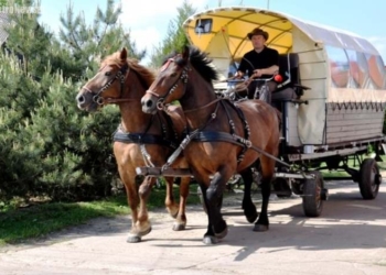 „Teatr na wozie” – płoccy aktorzy reaktywują tradycję