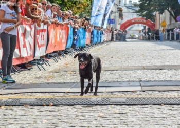 Pobiegli przez dwa mosty [ZDJĘCIA]