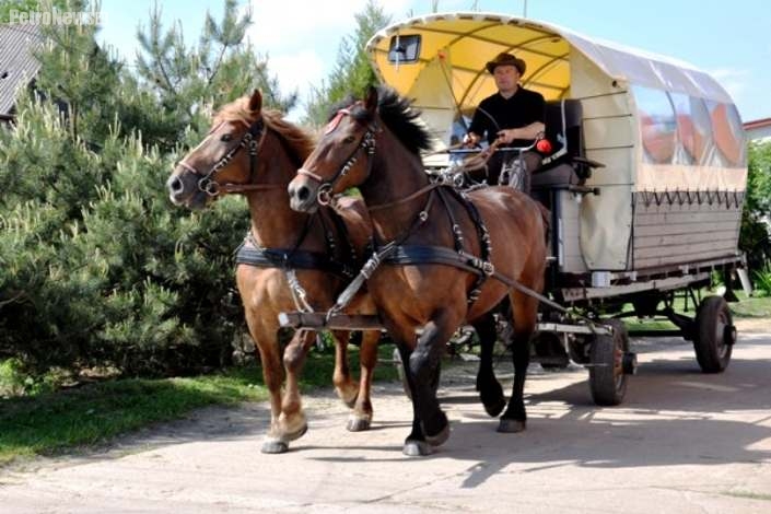 Ogień i miłość połączy teatr na wozie