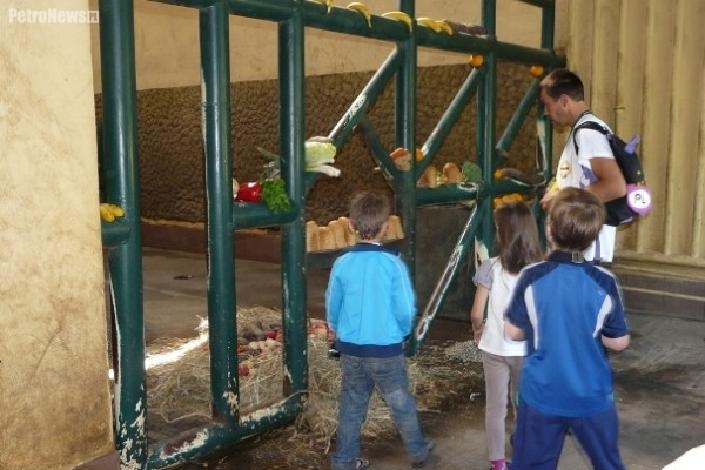 Terapia w ZOO przyniosła efekt