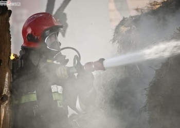 Pożar pod Płockiem. Trwa dogaszanie [ZDJĘCIA]