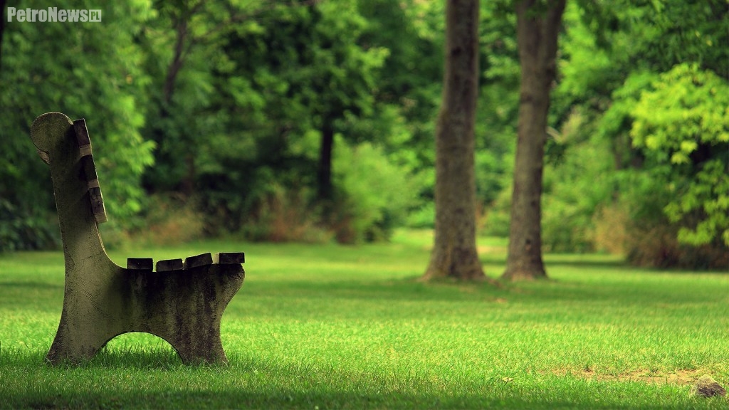 Zielony Jar zyska nowe miejsce rekreacji. Przetarg już ogłoszony