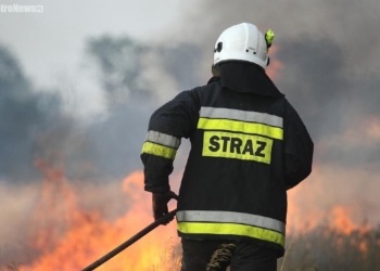 Pożar w Stróżewku. Spłonęło pole
