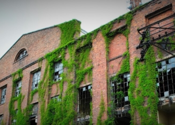 Szlakiem płockiego przemysłu: Elektrownia na Radziwiu