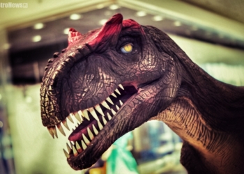 Ogromne gady w galerii