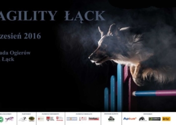 Psie zmagania sportowe w Łącku. Zawody Agility czas zacząć!