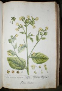 e-blackwell-herbarium-ryc-1