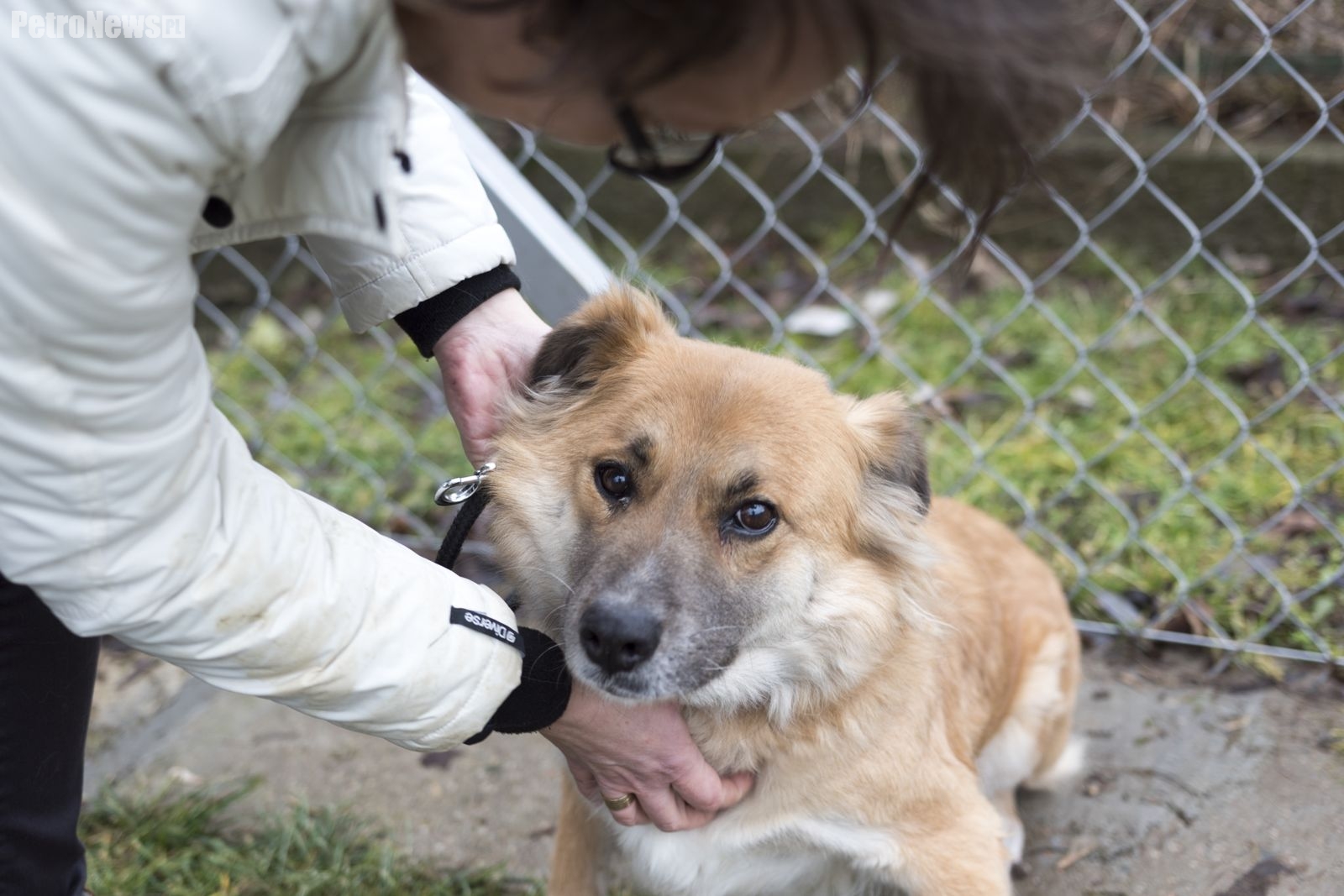 “Przygarnij psiaka” – pomagamy lokatorom płockiego schroniska, odc. 27