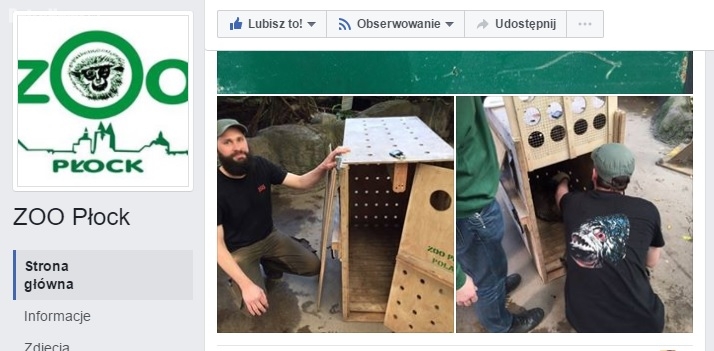 Nowe zwierzęta zawitają do ZOO. Jakie? To niespodzianka