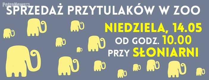 Nie masz jeszcze swojego Przytulaka?