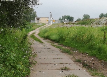 Apelują o specjalne tereny dla biegaczy, rolkarzy i spacerowiczów. Gdzie?