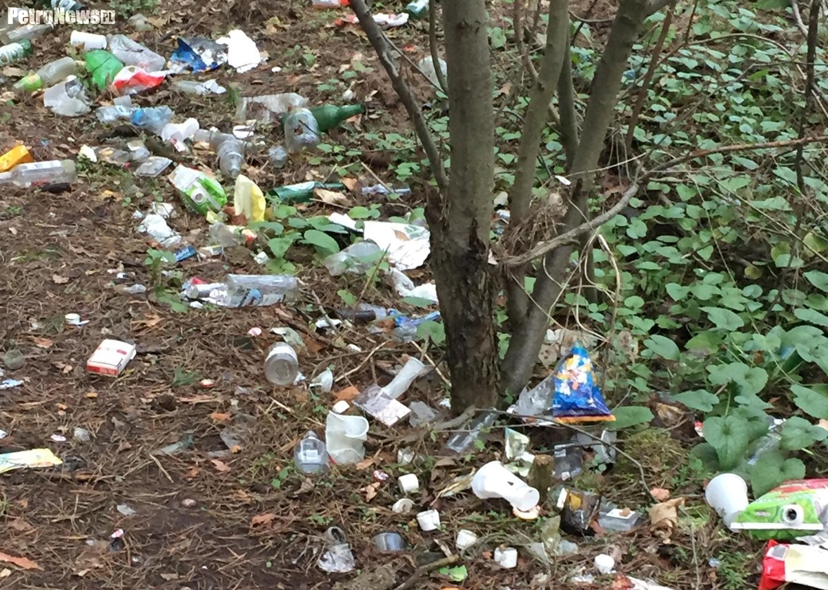 Śmietnik w lesie. „Na żywo wygląda jeszcze gorzej”