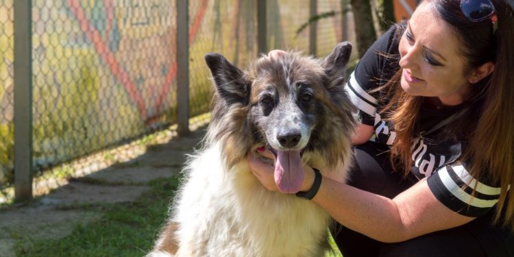 “Przygarnij psiaka” – pomagamy lokatorom płockiego schroniska, odc. 57