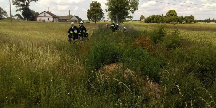 Pożar w gminie Stara Biała