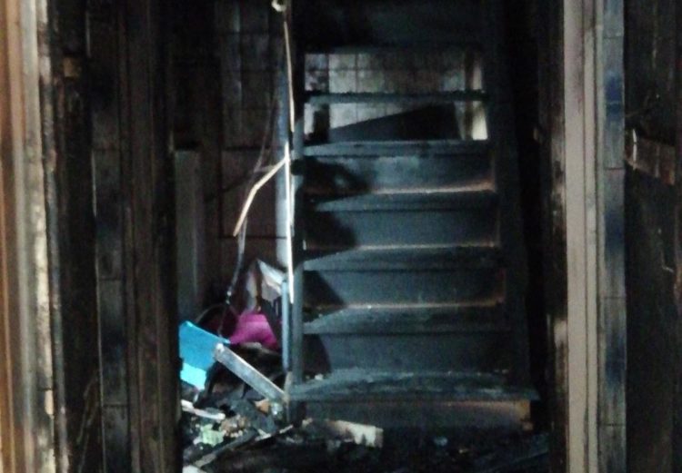 Zdjęcie przesłane przez panią Danutę