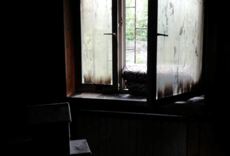 Zdjęcie przesłane przez panią Danutę