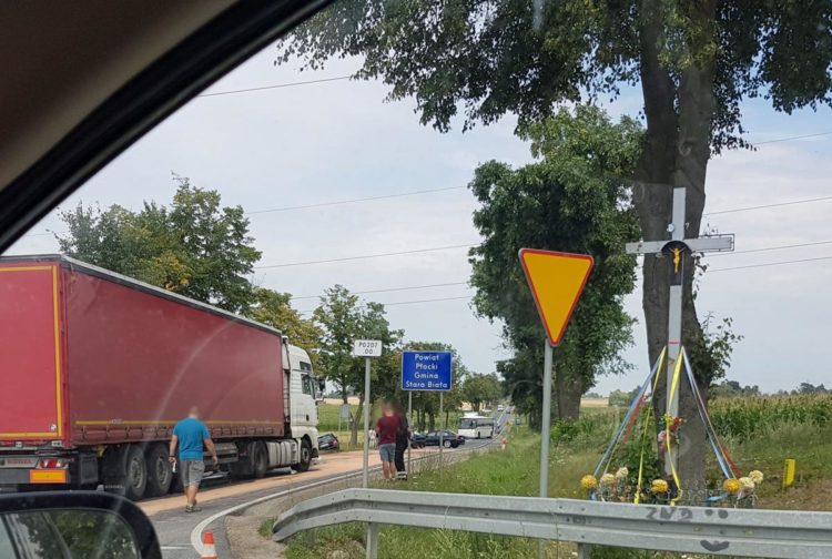 Zdjęcie przesłane przez czytelnika