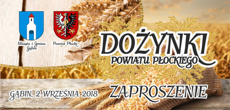 fot. materiały prasowe