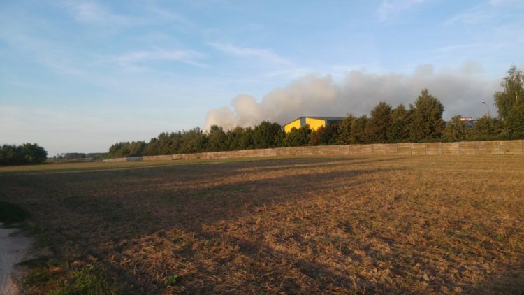 Zdjęcie przesłane przez czytelnika