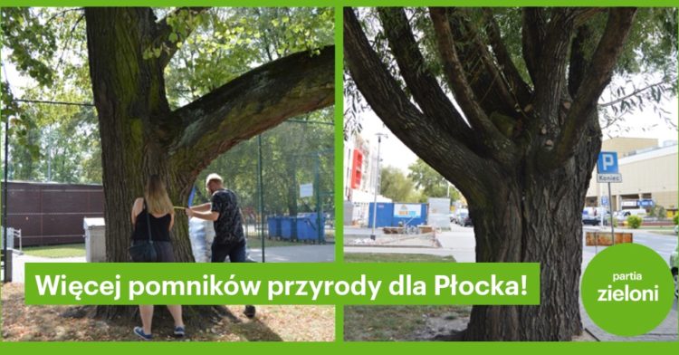 fot. materiały prasowe