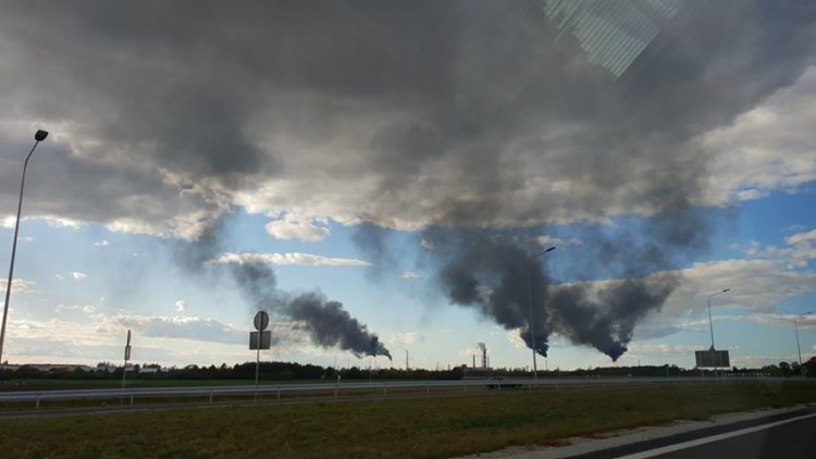 Zdjęcie przesłane przez czytelnika