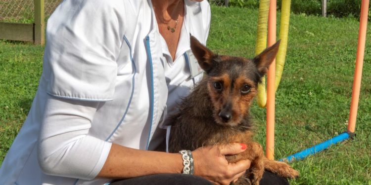 “Przygarnij psiaka” – pomagamy lokatorom płockiego schroniska, odc. 65