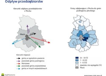 Dokąd uciekają firmy z Płocka?