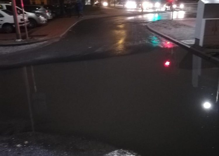 Zdjęcie przesłane przez czytelnika
