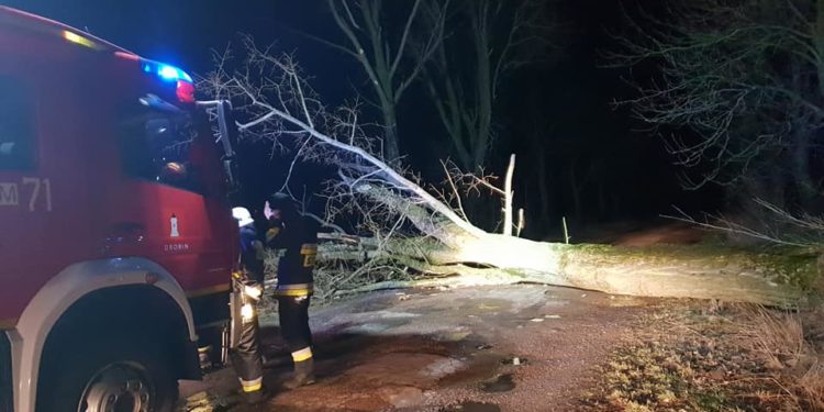 Przewrócone drzewa i brak prądu po nocnej wichurze