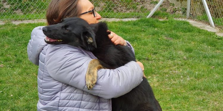 “Przygarnij psiaka” – pomagamy lokatorom płockiego schroniska, odc. 78