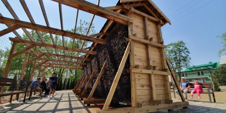 Tak wygląda obiekt za ponad 700 tys. zł. Już działa