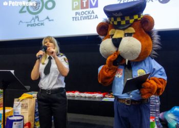 Mój przyjaciel lew… Lew Honorek w NK Przedwiośnie