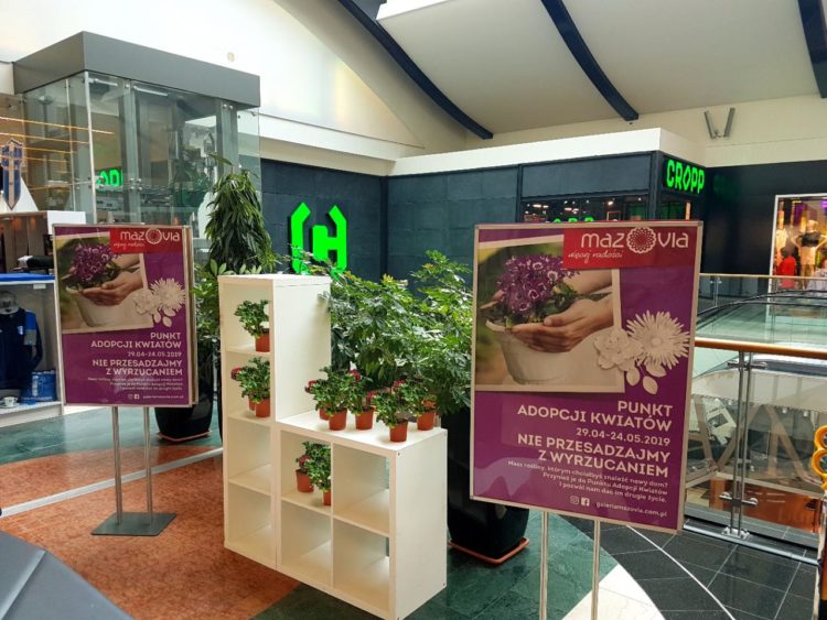 Fot. Galeria Mazovia