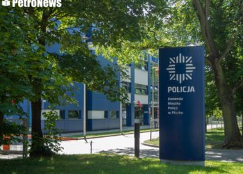 W Płocku walczą o drzewa wycinane podczas remontu