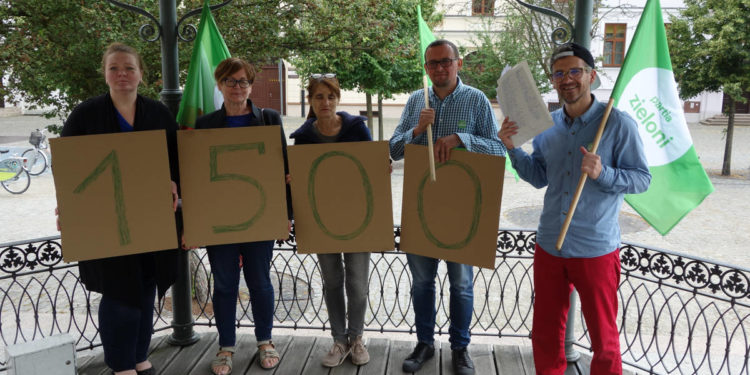 Płocczanie stanęli murem w obronie drzew przy al. Kilińskiego