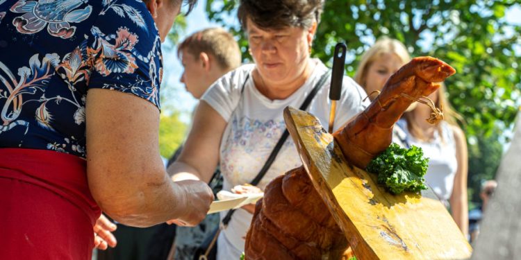 Dożynki powiatu płockiego – symulacja dachowania, grillowanie i koncerty