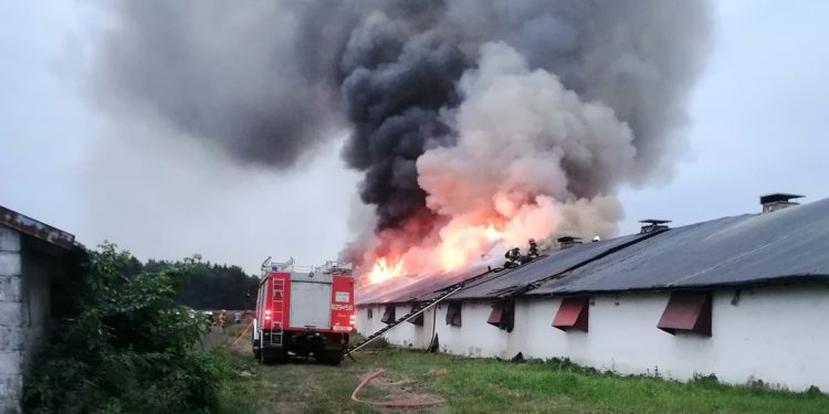 Ogromny pożar w Sierpcu. Strażacy: „To będzie długa noc…” [FILM]