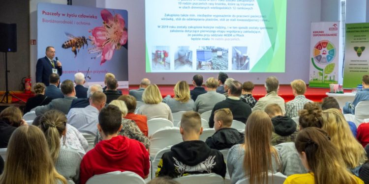 Czy miasta są dobrym środowiskiem dla pszczół?