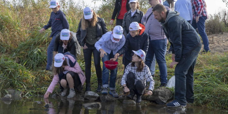 Zarybiają Wisłę – pomaga spółka Grupy ORLEN