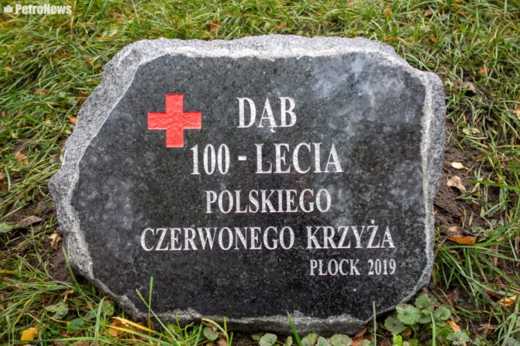 Fot. Wiktor Pleczyński