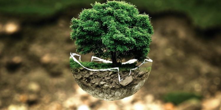 Debata ekologiczna w Płocku