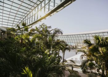 Rusza największy zadaszony park wodny w Europie. Z Płocka dojedziecie w 1,5 godziny!