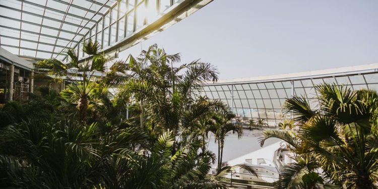 Rusza największy zadaszony park wodny w Europie. Z Płocka dojedziecie w 1,5 godziny!