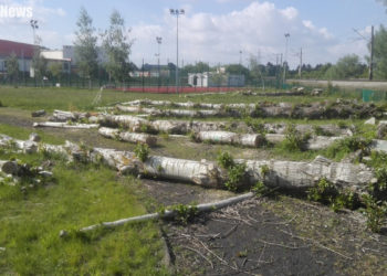 Czytelniczka: Ścięte drzewa leżą na bieżni, a na boiskach są pęknięcia. Czy będzie remont?