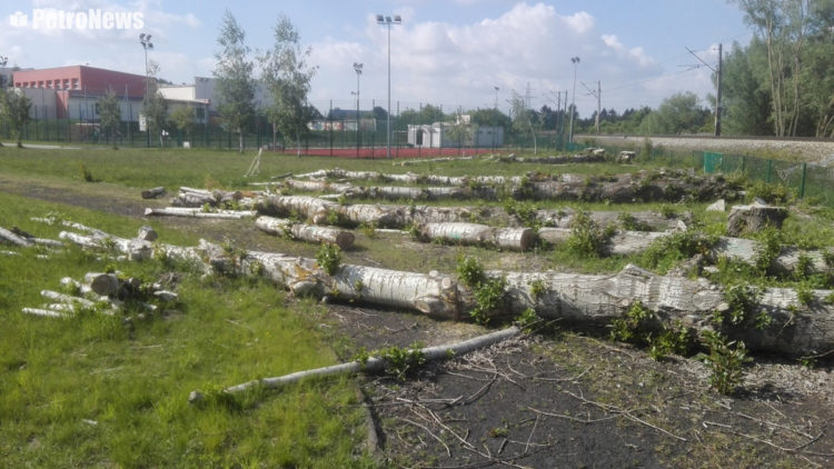 Zdjęcie przesłane przez czytelniczkę