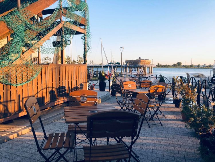 Fot. materiały prasowe