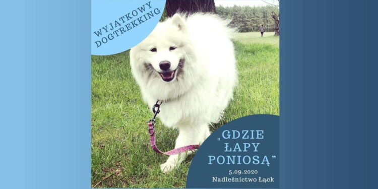 Wyzwanie dla czworonogów i ich właścicieli