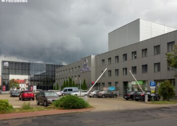 Czytelnik: Dlaczego w Płocku nie chronimy drzew?