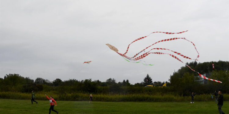 Płocczanie, pomimo deszczu, licznie świętowali Dzień Latawca [ZDJĘCIA]