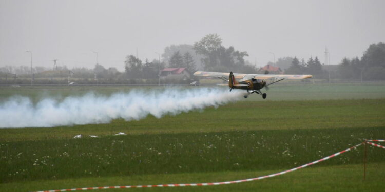 Płocczanie, pomimo deszczu, licznie świętowali Dzień Latawca [ZDJĘCIA]